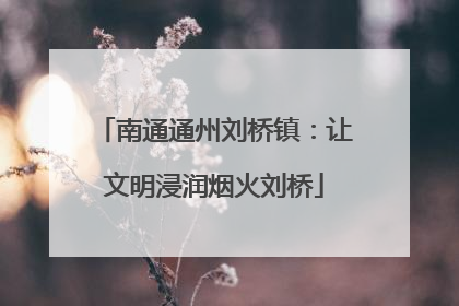 南通通州刘桥镇：让文明浸润烟火刘桥