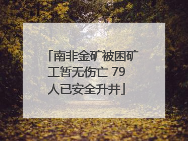 南非金矿被困矿工暂无伤亡 79人已安全升井