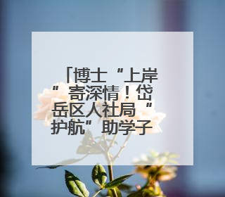 博士“上岸”寄深情！岱岳区人社局“护航”助学子逐梦，一纸书信道尽“根在岱岳”的眷恋