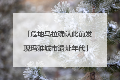 危地马拉确认此前发现玛雅城市遗址年代