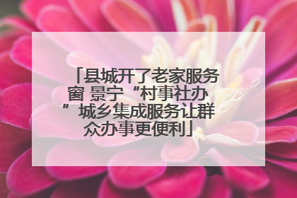 县城开了老家服务窗 景宁“村事社办”城乡集成服务让群众办事更便利