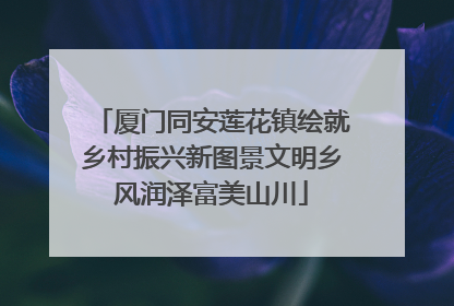 厦门同安莲花镇绘就乡村振兴新图景文明乡风润泽富美山川
