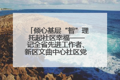 倾心基层“智”理 托起社区幸福——记全省先进工作者、新区文曲中心社区党委书记董世弘