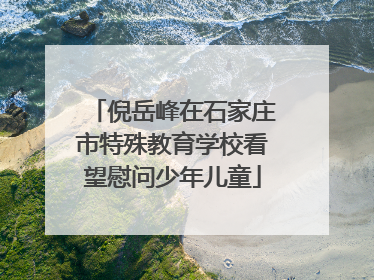 倪岳峰在石家庄市特殊教育学校看望慰问少年儿童