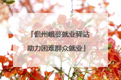 儋州峨蔓就业驿站助力困难群众就业