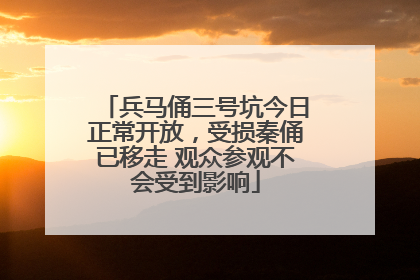 兵马俑三号坑今日正常开放，受损秦俑已移走 观众参观不会受到影响