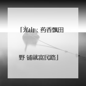 光山：药香飘田野 铺就富民路