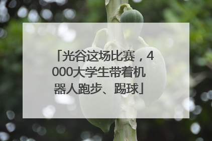 光谷这场比赛，4000大学生带着机器人跑步、踢球