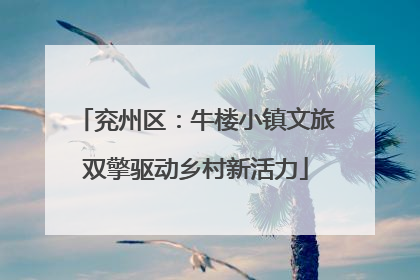 兖州区：牛楼小镇文旅双擎驱动乡村新活力