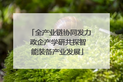 全产业链协同发力 政企产学研共探智能装备产业发展