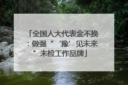全国人大代表金不换：做强“‘豫’见未来”未检工作品牌