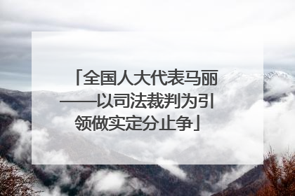 全国人大代表马丽——以司法裁判为引领做实定分止争