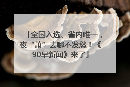 全国入选、省内唯一，夜“萧”去哪不发愁！《90早新闻》来了