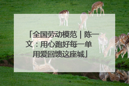 全国劳动模范｜陈一文：用心跑好每一单 用爱回馈这座城