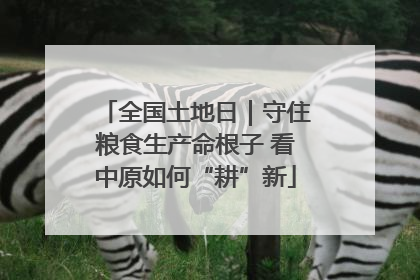 全国土地日｜守住粮食生产命根子 看中原如何“耕”新