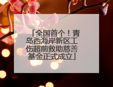 全国首个！青岛西海岸新区工伤超前救助慈善基金正式成立