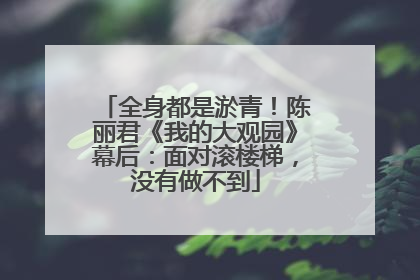 全身都是淤青！陈丽君《我的大观园》幕后：面对滚楼梯，没有做不到