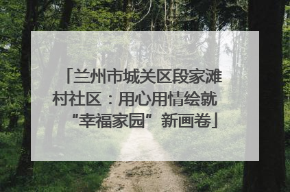 兰州市城关区段家滩村社区：用心用情绘就“幸福家园”新画卷