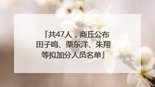共47人，商丘公布田子鸣、栗东洋、朱翔等拟加分人员名单