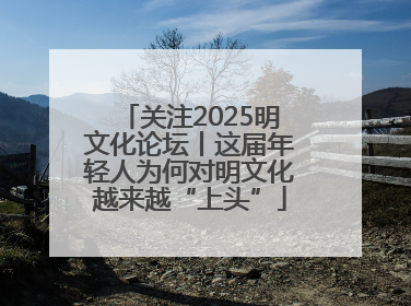 关注2025明文化论坛丨这届年轻人为何对明文化越来越“上头”