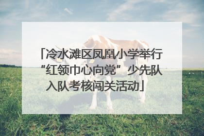 冷水滩区凤凰小学举行“红领巾心向党”少先队入队考核闯关活动
