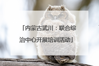 内蒙古武川：联合综治中心开展培训活动