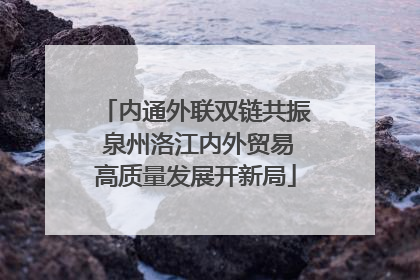 内通外联双链共振 泉州洛江内外贸易高质量发展开新局