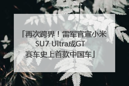 再次跨界！雷军官宣小米SU7 Ultra成GT赛车史上首款中国车