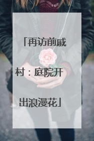 再访前戚村：庭院开出浪漫花