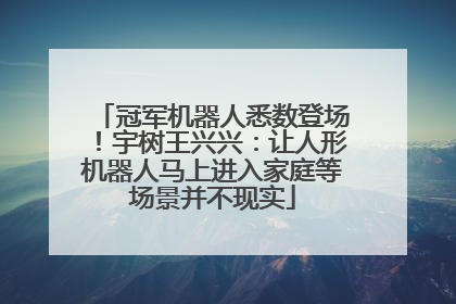 冠军机器人悉数登场！宇树王兴兴：让人形机器人马上进入家庭等场景并不现实
