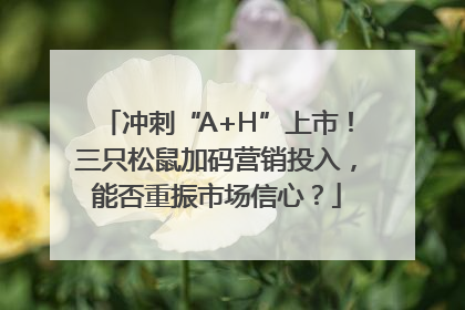 冲刺“A+H”上市！三只松鼠加码营销投入，能否重振市场信心？