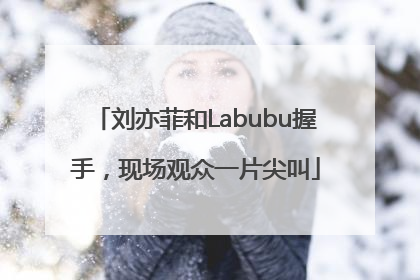 刘亦菲和Labubu握手，现场观众一片尖叫