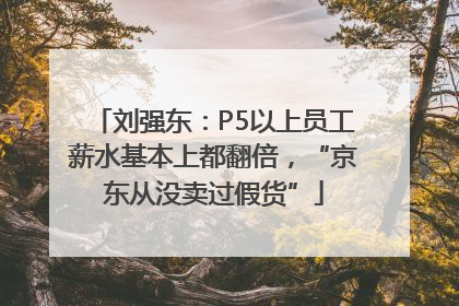 刘强东：P5以上员工薪水基本上都翻倍，“京东从没卖过假货”
