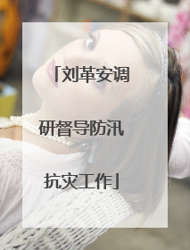 刘革安调研督导防汛抗灾工作