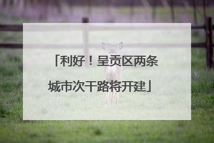 利好！呈贡区两条城市次干路将开建