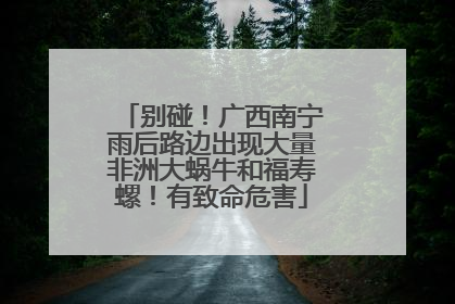别碰！广西南宁雨后路边出现大量非洲大蜗牛和福寿螺！有致命危害