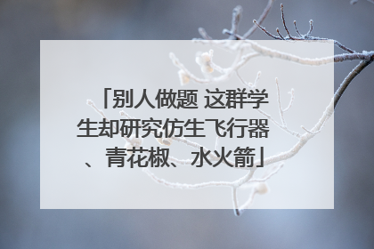 别人做题 这群学生却研究仿生飞行器、青花椒、水火箭