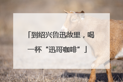 到绍兴鲁迅故里，喝一杯“迅哥咖啡”