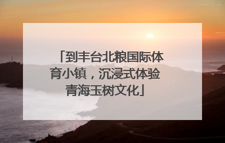 到丰台北粮国际体育小镇，沉浸式体验青海玉树文化