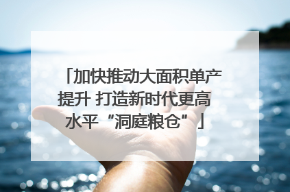 加快推动大面积单产提升 打造新时代更高水平“洞庭粮仓”