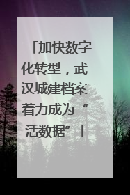 加快数字化转型，武汉城建档案着力成为“活数据”