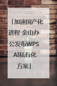 加速国产化进程 金山办公发布WPS AI私有化方案