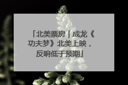 北美票房｜成龙《功夫梦》北美上映，反响低于预期