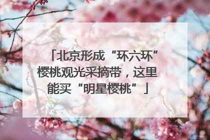 北京形成“环六环”樱桃观光采摘带，这里能买“明星樱桃”