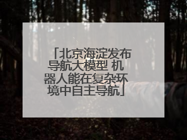 北京海淀发布导航大模型 机器人能在复杂环境中自主导航