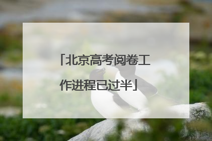 北京高考阅卷工作进程已过半