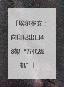 埃尔多安：向印尼出口48架“五代战机”