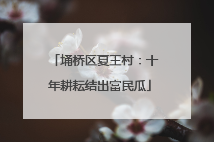 埇桥区夏王村：十年耕耘结出富民瓜