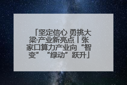 坚定信心 勇挑大梁·产业新亮点丨张家口算力产业向“智变”“绿动”跃升