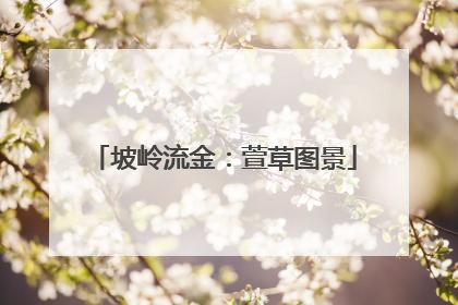 坡岭流金：萱草图景
